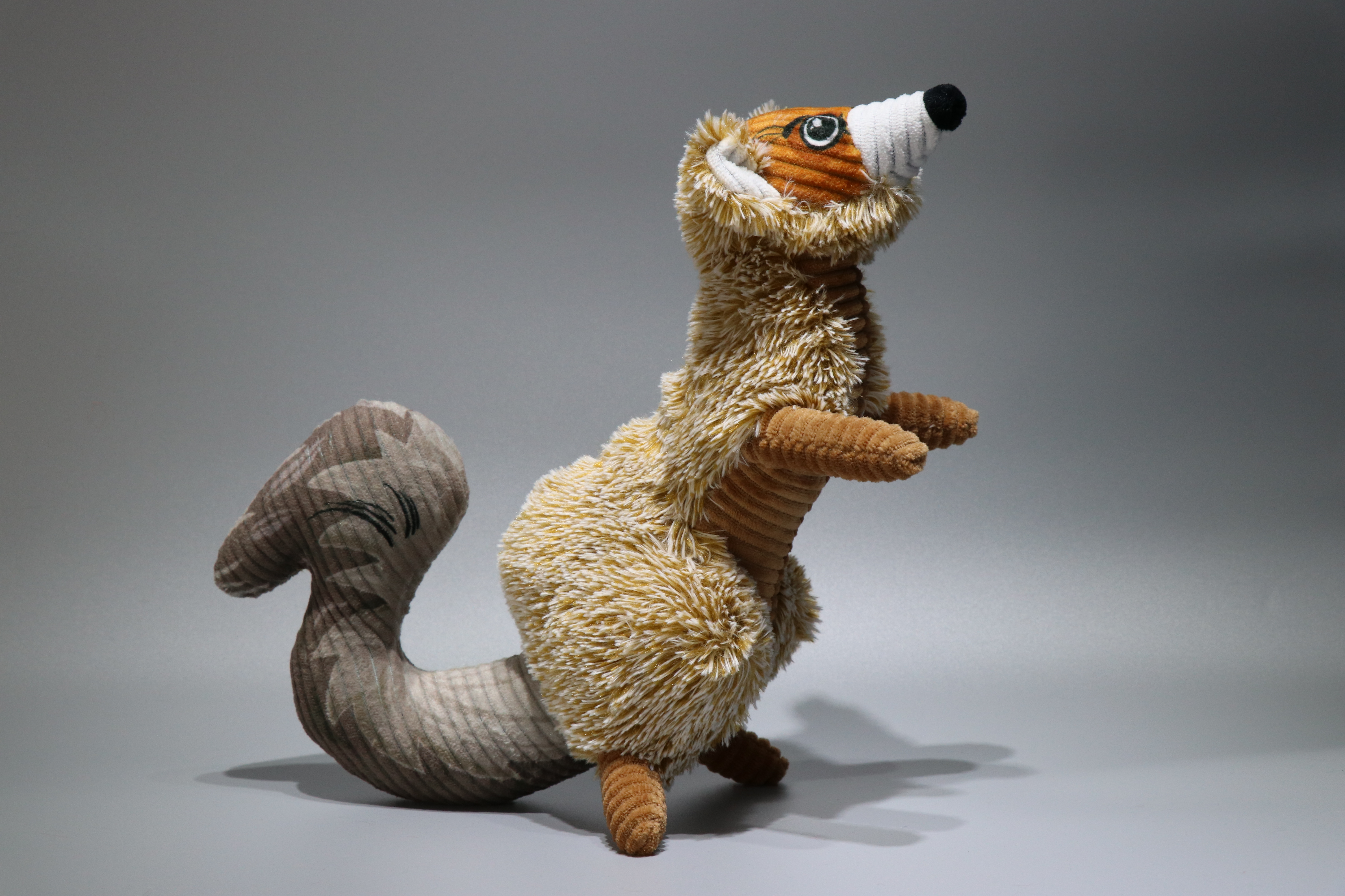 Big Tail Marten