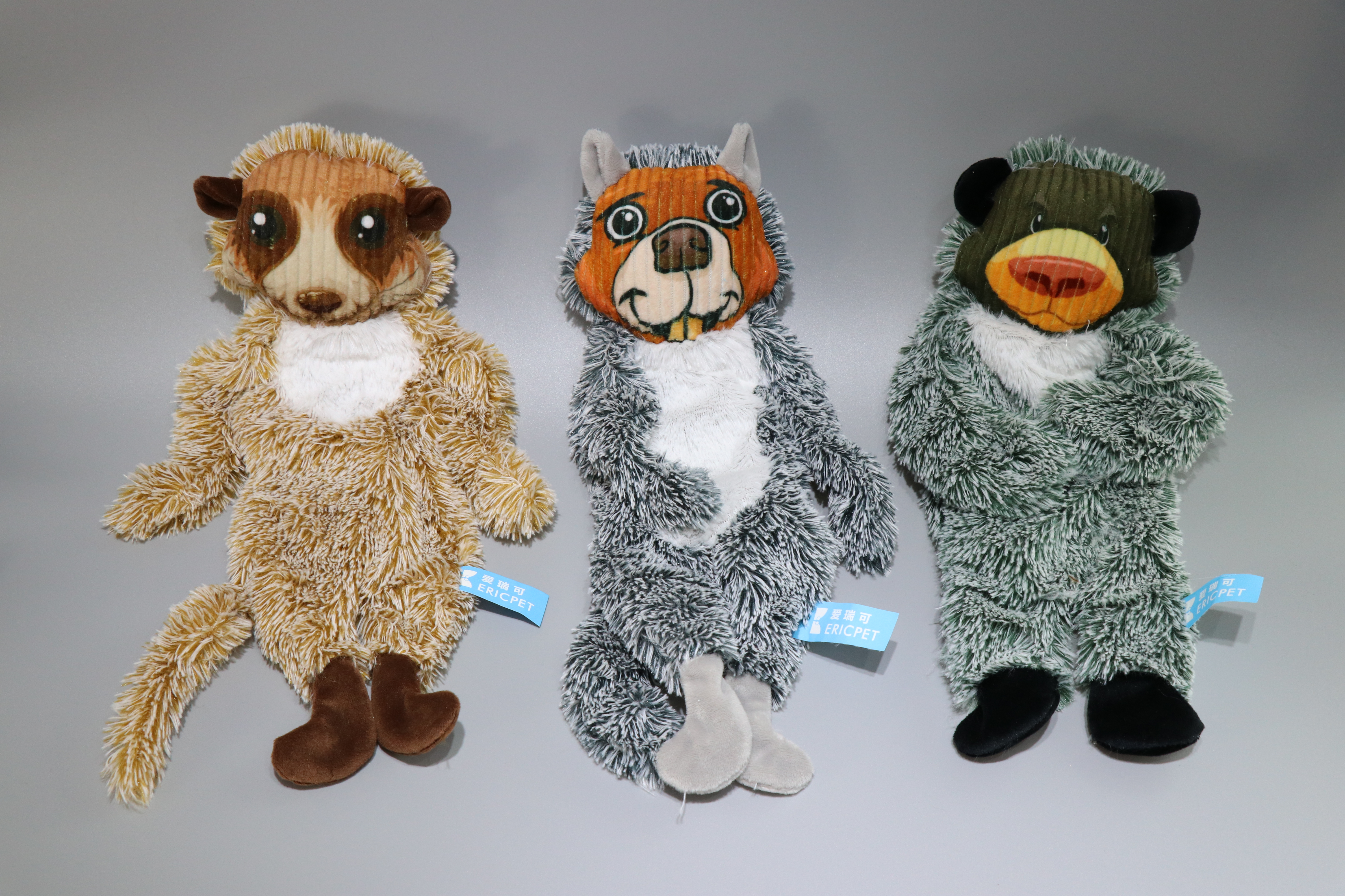 3 Shelled Wild Animals