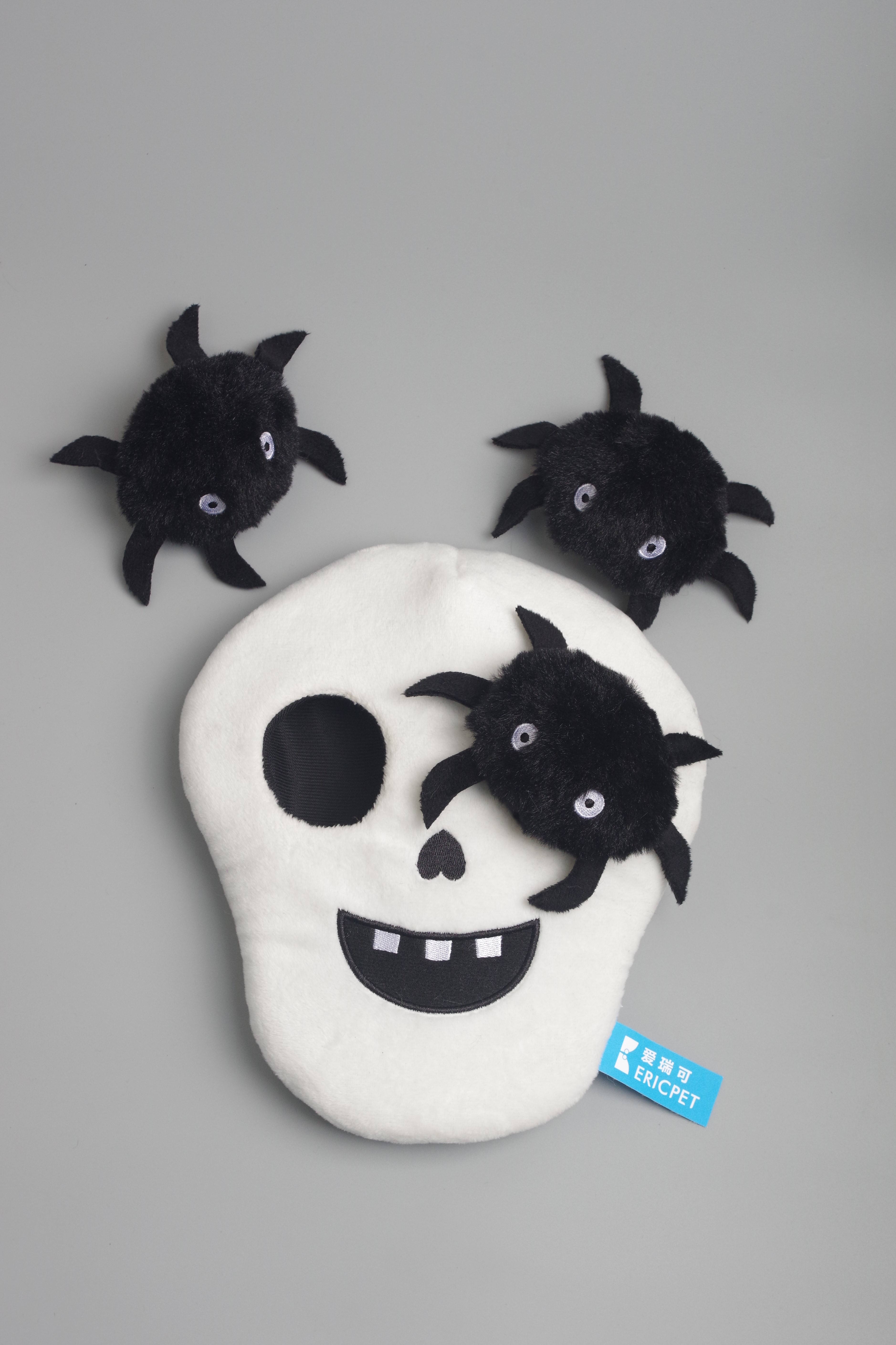 Skull with Several Spiders
