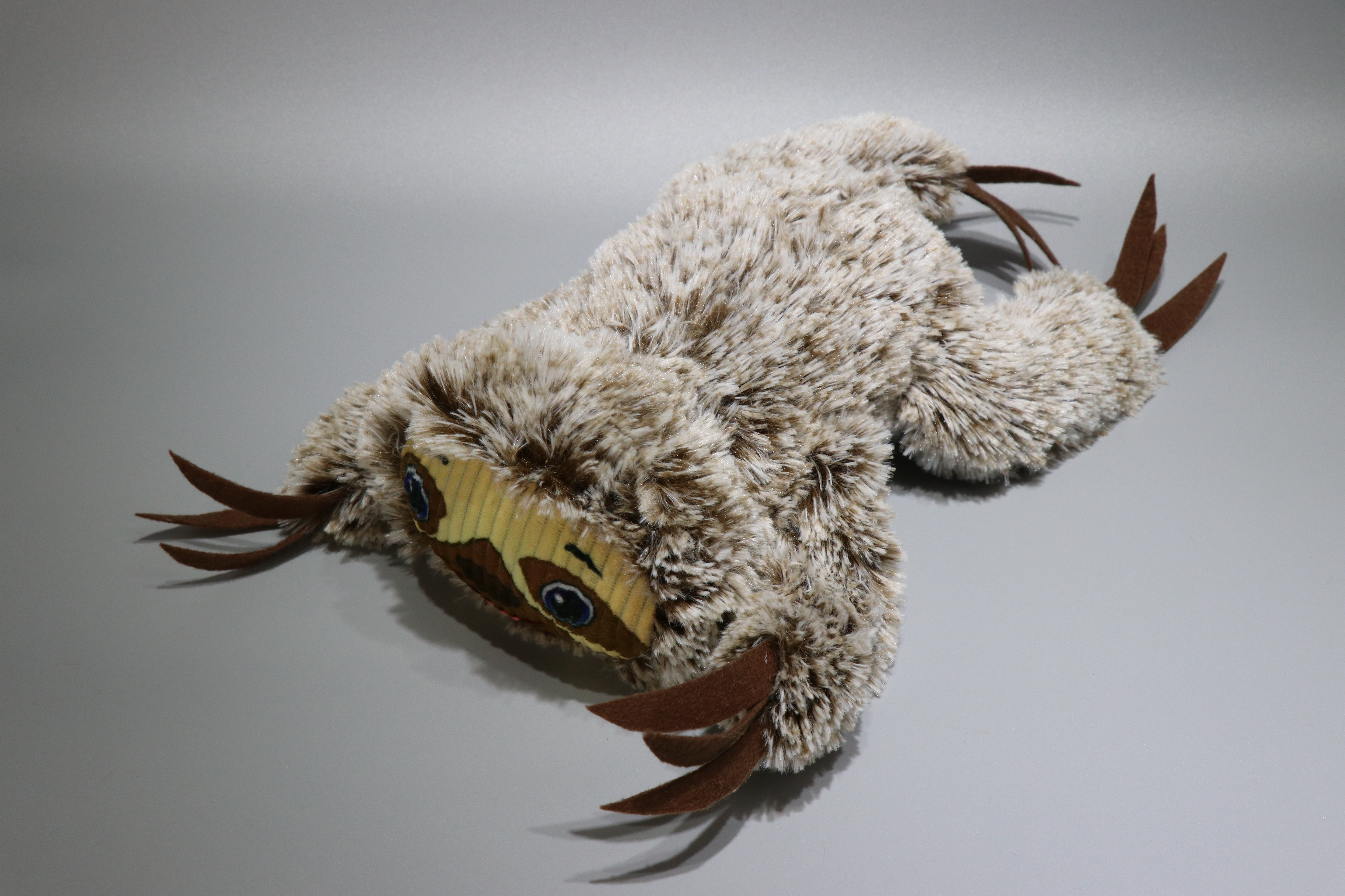 Lying Sloth