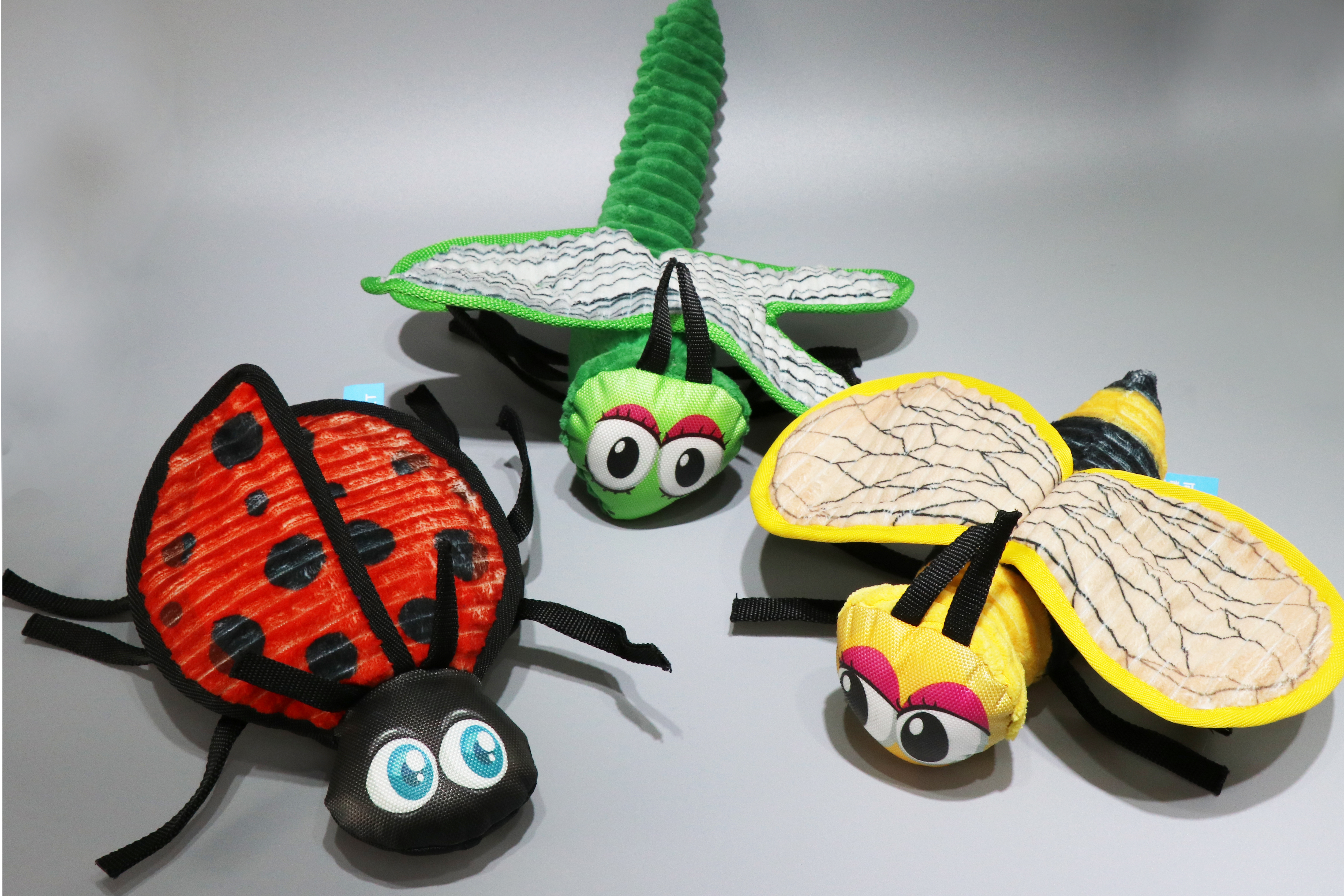 3 Colorful Insect